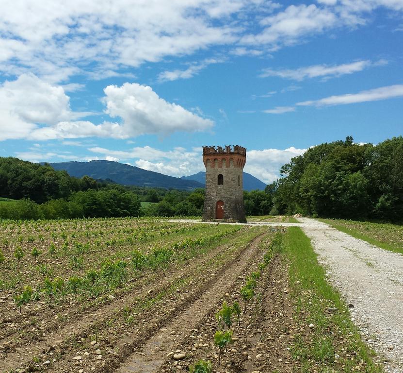Agriturismo Casteldardo Trichiana Exterior photo